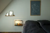 โมเดิร์น ซิตี้ ซิมเมอร์ มิต ไอเกเนม บาด