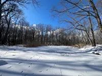Winter Wonderland on over 60 Acres.