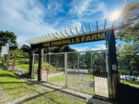 1193 Pinehall Farm Rizal