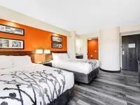 Wingate by Wyndham Leesburg Florida Hotels in Lake County