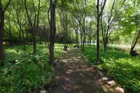 Sarongde Bangdong - Pensions
