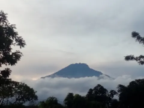 Game Changers Lodge - Safari