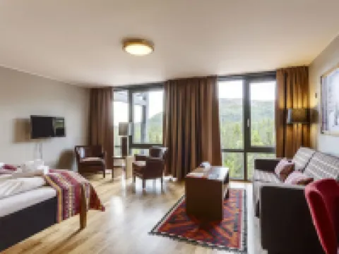 スキースター ロッジ トリシル トリシルのホテル