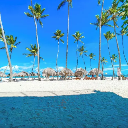 BEACH FUN AND LIFE