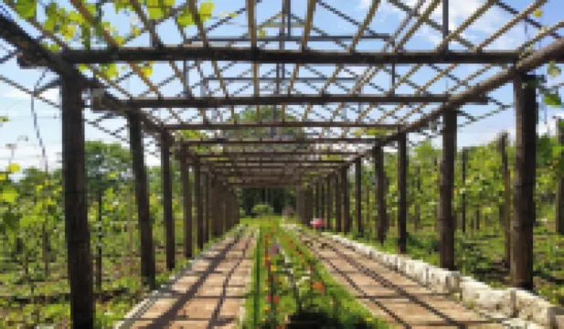 Chateau Chikovani Hotels in 