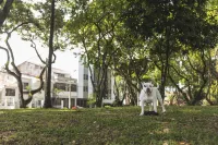 Hotel Boutique Business Center