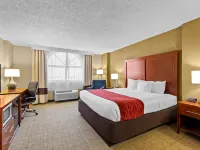 Comfort Inn & Suites Lakeland North I-4 Hotels in Polk County