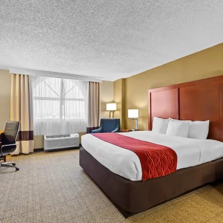Comfort Inn & Suites Lakeland North I-4