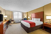 Comfort Inn & Suites Lakeland North I-4