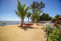 Villa Armoniosa - Stunning 4BR Beachfront Villa w Pool Ocean Views - Villas