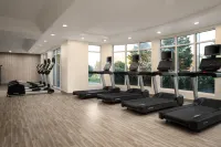 Hilton Garden Inn Richmond South/Southpark - Gym
