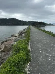 Mount Baker and Water View.
