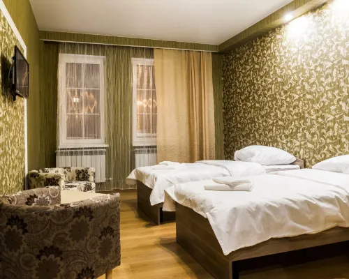Nitstsa Hotel Hotels in Samara