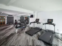Novotel Tainui Hamilton - Gym