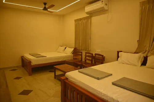SANDALCITY HAVEN