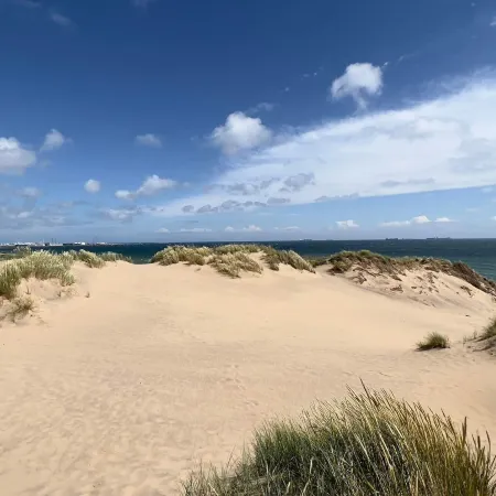 4 Star Holiday Home in Skagen