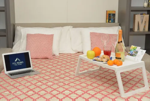 Central Apartment Guisan in Paradiso - Wifi
