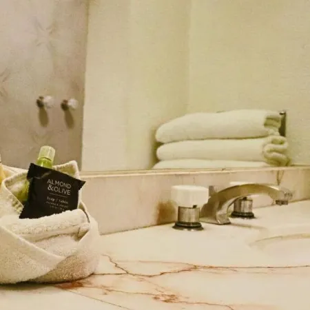 Hotel Altum Business