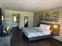 Clarion Pointe - Ramah Hewan Peliharaan