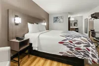 Red Roof Inn Memphis - Graceland/ Airport - Motels