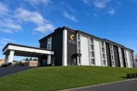 Comfort Inn & Suites - Pet friendly
