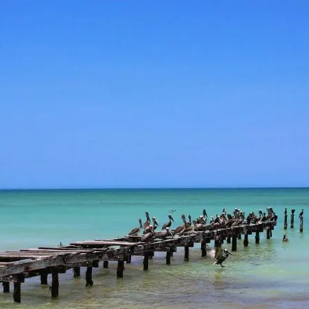 Cabañas El Cuyo