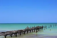 Cabañas El Cuyo - Beach