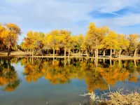 額濟納旗金秋賓館