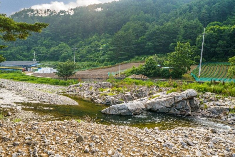 펜션 외부 전경