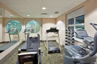 Holiday Inn & Suites SURREY EAST - CLOVERDALE by IHG - Gym