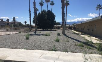 Palm Shadow Inn Motel - Housity