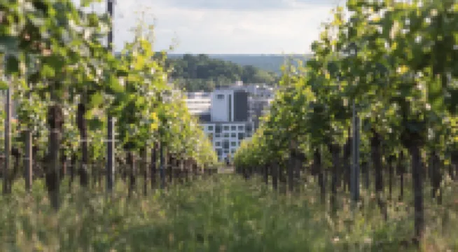 Holiday Inn - the niu, Form Stuttgart Feuerbach by IHG