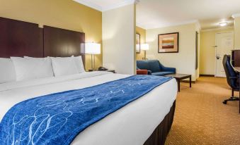 Comfort Suites Elizabethtown