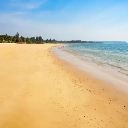 Majestic Beach Comforts