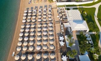 Lichnos Beach Hotel & Suites