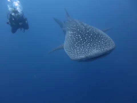 弗瓦姆拉卡里克斯大酒店