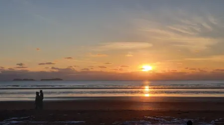 Taean Pinewood Beach Pension Отели в г. Тхэан