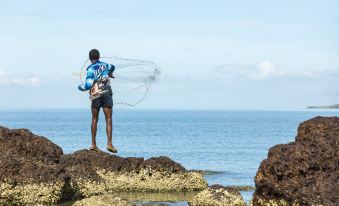 a man in a blue shirt is standing on rocks near the ocean , holding a fishing net at Albatross Bay Resort