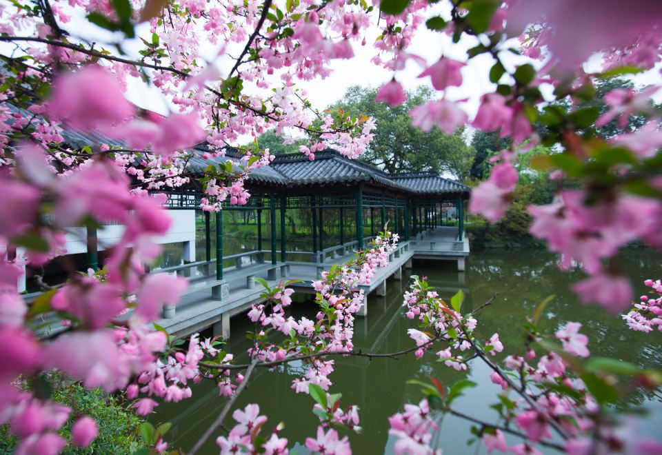 서호 스테이트 게스트하우스의 정원 풍경