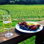 Gisborne Peak Winery Short Term Stays Hotels in Gisborne