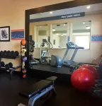 埃德蒙頓國際機場希爾頓歡朋套房酒店 - 健身室/gym room