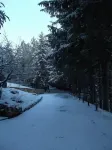 Hotel Orso Bianco - Mountain view