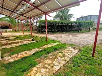 Hotel El Perico Marinero فنادق في Rio Lagartos