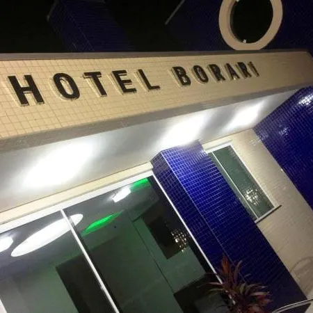 Hotel Borari
