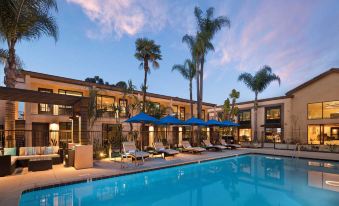 The Cove Hotel