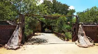 Elephant Trail Guesthouse and Backpackers - Bar