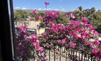 Hotel Villas de Todos Santos