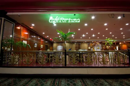 水濱機場娛樂場酒店