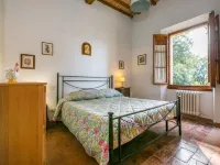 Giuggiolo 4