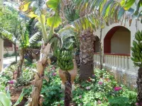 Palm Bay